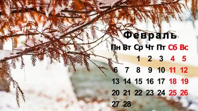 Календарь на рабочий стол: Январь 2013 | bot.kz — Новости IT