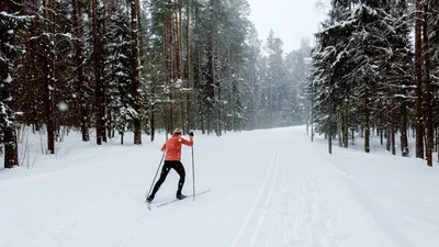 Катание на водных лыжах купить в интернет-магазине подарков Купи Слона |  (4212) 68-30-20