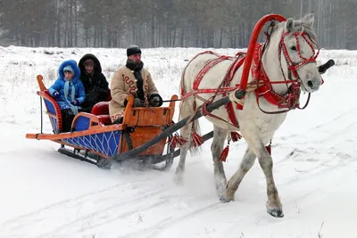 Ноябрьские катания на санках:)