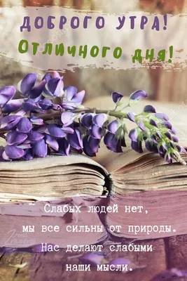 Английский, испанский, итальянский. Как пожелать хорошего дня? И мое  отношение к иностранному \"Как дела?\" | Полиглот-Бутерброд | Дзен