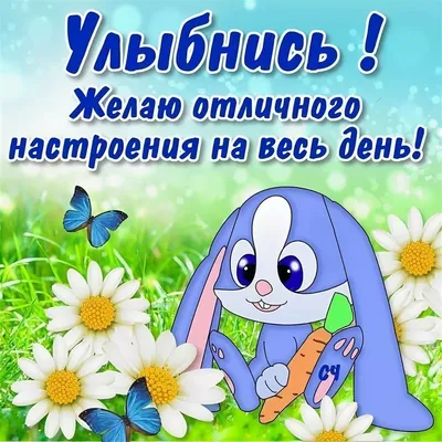 Хорошего дня и чудного настроения на весь день!.