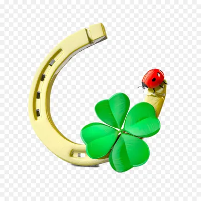 Banner with clover. Баннер с клевером. PNG. | Клевер, Баннер, День святого  патрика