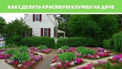 Цветочные клумбы на даче: рекомендации по оформлению красивых клумб своими  руками