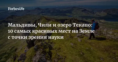 Парма — темнохвойная тайга, что покрывает почти 2/3 Пермского края | Красивые  места, Расслабляющая музыка, Места