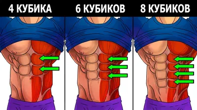 Как же накачать заветные кубики на животе? Перетренированность пресса  основная причина того что мышцы не растут. Если хотите рост работайте… |  Instagram