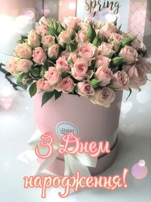 З днем народження | Happy birthday fun, Happy birthday girls, Pink flowers  wallpaper | Birthday flowers bouquet, Happy birthday fun, Happy birthday  girls