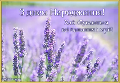 Листівки з Днем Народження квіти: букети, троянди, весняні, польові,  красиві безкоштовні картинки-пр… | Fear of the lord, How to memorize  things, Identity in christ