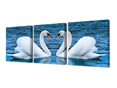 Пара лебедей на озере ,вода …» — создано в Шедевруме