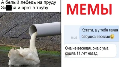 Белый лебедь на пруду - фото и картинки: 65 штук