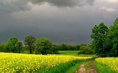 Скачать обои Звезды, Кровь, Темнота, Лена, Бесконечное лето, Everlasting  Summer, раздел игры в разрешении 1366x768