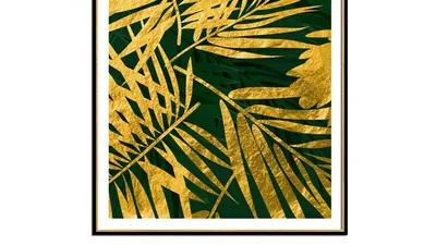 Картинки листьев пальмы фотографии