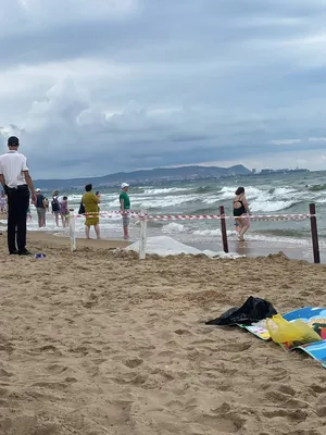 Чайки, люди, море: в Находке можно полюбоваться раскрашенными тетраподами -  Nakhodka.Media