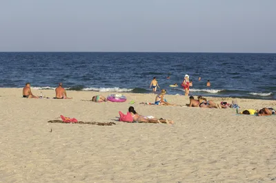 Веселые Молодые Люди Веселятся На Пляже. Отличные Летние Каникулы.  Фотография, картинки, изображения и сток-фотография без роялти. Image  5365722