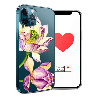 Обои цветок, ароматные белые водяные лилии, священный Лотос, водное  растение, Лотос на телефон Android, 1080x1920 картинки и фото бесплатно
