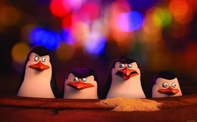 Обои на рабочий стол Пингвины в пустыне, мультсериал Пингвины Мадагаскара /  Penguins Madagaskar: Рико / Rico, Шкипер / Skipper, Рядовой / Private и  Ковальски / Kowalski, обои для рабочего стола, скачать обои, обои бесплатно