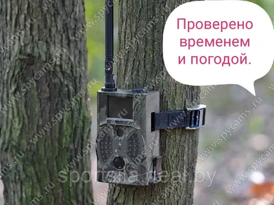 Фотоловушка видеокамера лесная gsm mms sms hc-300m pl недорого ➤➤➤ Интернет  магазин DARSTAR