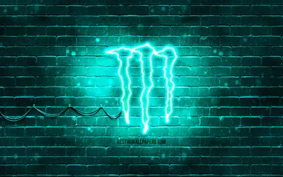 inst.: sofia_pawyt💚 #aesthetic #monster #monsterblack #energydrink  #красота #рецепты #здоровье #energy #drin… | Monster energy girls, Monster  energy drink, Monster