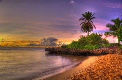 Море солнце пальмы (54 фото) - 54 фото