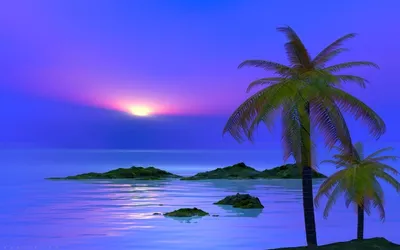 Картинки 3d, закат, тропики, море, пальмы - обои 1680x1050, картинка №216483
