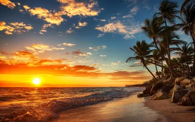 Картинка Море пальмы пляж закат » Закат картинки скачать бесплатно (37  фото) - Картинки 24 » Картинки 24 - скачать картинки бесплатно
