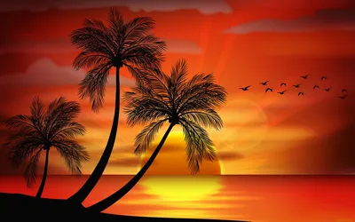 Картина по номерам \"Пейзаж. Природа. Закат. Закат у побережья. Море. Пальмы\"  - купить с доставкой по выгодным ценам в интернет-магазине OZON (354445298)