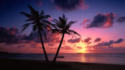 Красивый закат на море у пляжа с пальмами - обои на рабочий стол