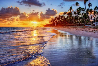 Обои для рабочего стола пляжа Море Природа Пальмы рассвет и закат