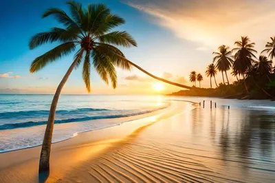 Фотообои \"Тропический закат с пальмами\" - Арт. 150118 | Купить в  интернет-магазине Уютная стена