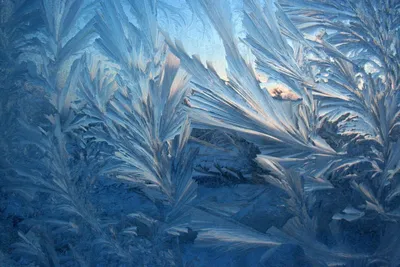 Мороз на окне - красивые фото