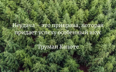 Более 100 мотивационных цитат для поощрения совместной работы в коллективе  [2023] • Asana