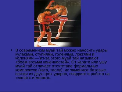 Сергей Иванович- первый из беларусов чемпион мира по муай тай, 12/12/1994  год, не понаслышке знает как зарождалась школа муай тай в… | Instagram