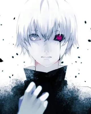 Tokyo Ghoul - Image by LuluSeason #1747750 - Zerochan Anime Image Board