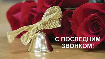 Последний звонок прозвенит в Подольске 25 мая - Общество - РИАМО в Подольске