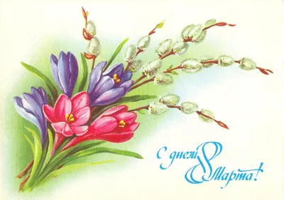 Любимые цветы на 8 марта | Пикабу
