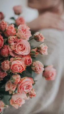 Скачать 938x1668 розы, цветы, букет, розовый, нежный обои, картинки iphone  8/7/6s/6 for parallax