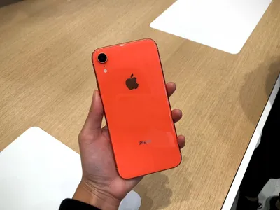 8 Things to Know About the iPhone XR