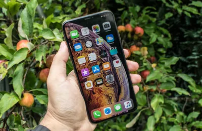 Apple Iphone Xs Max 64gb, Working at Rs 25500 in Delhi | ID: 24445832812