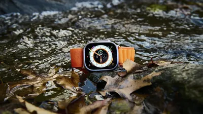 Apple Watch Series 9 review: Don't settle for the less expensive models  this year. Here's why | ZDNET