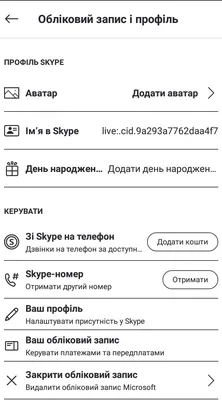 Позвони мне, позвони. Хитрые секреты Skype. — Ferra.ru