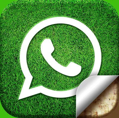 Картинки на аватарку whatsapp фотографии