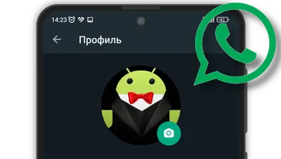 Как установить или поменять аватарку в WhatsApp? Показываю в картинках |  Mr.Android — эксперт по гаджетам | Дзен