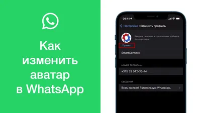 MERAGOR | Абстракция на аватарку