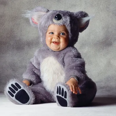 Аватар с ребенком в костюме коалы, позитивные картинки с детьми скачать —  Фото на аву | Cute baby costumes, Baby halloween, Cute baby pictures