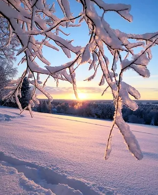 Картинки зима природа - 68 фото
