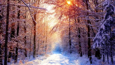 Мягкая зима (83 фото) - 83 фото