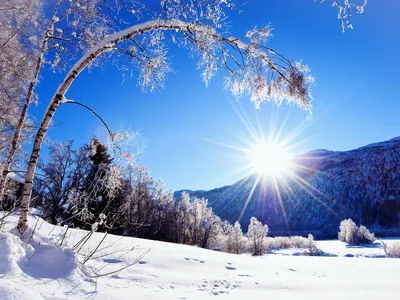 Природа зима - красивые фото
