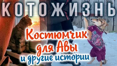 Повседневная жизнь Авы 14 глава | ВКонтакте