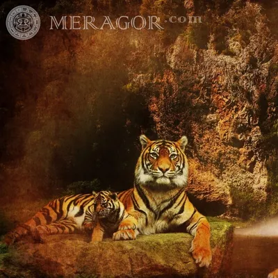 MERAGOR | Тигрица и тигренок картинка на аву