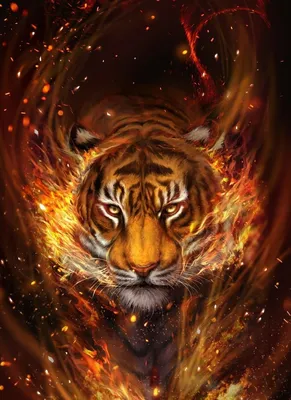 Красивые открытки с тигром - 56 фото