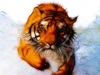 Картинки тигр и луна (65 фото) » Картинки и статусы про окружающий мир  вокруг